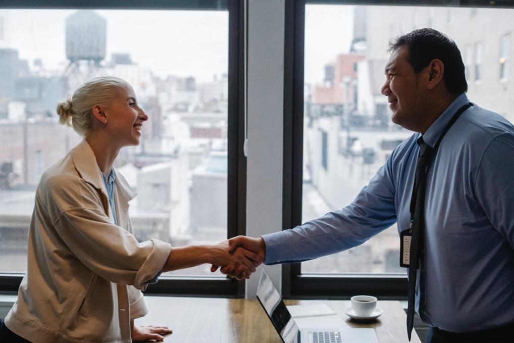 Interview shaking hands