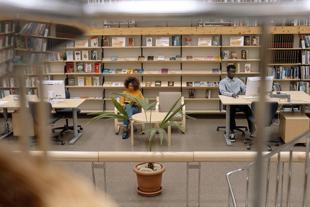 students reading in a library