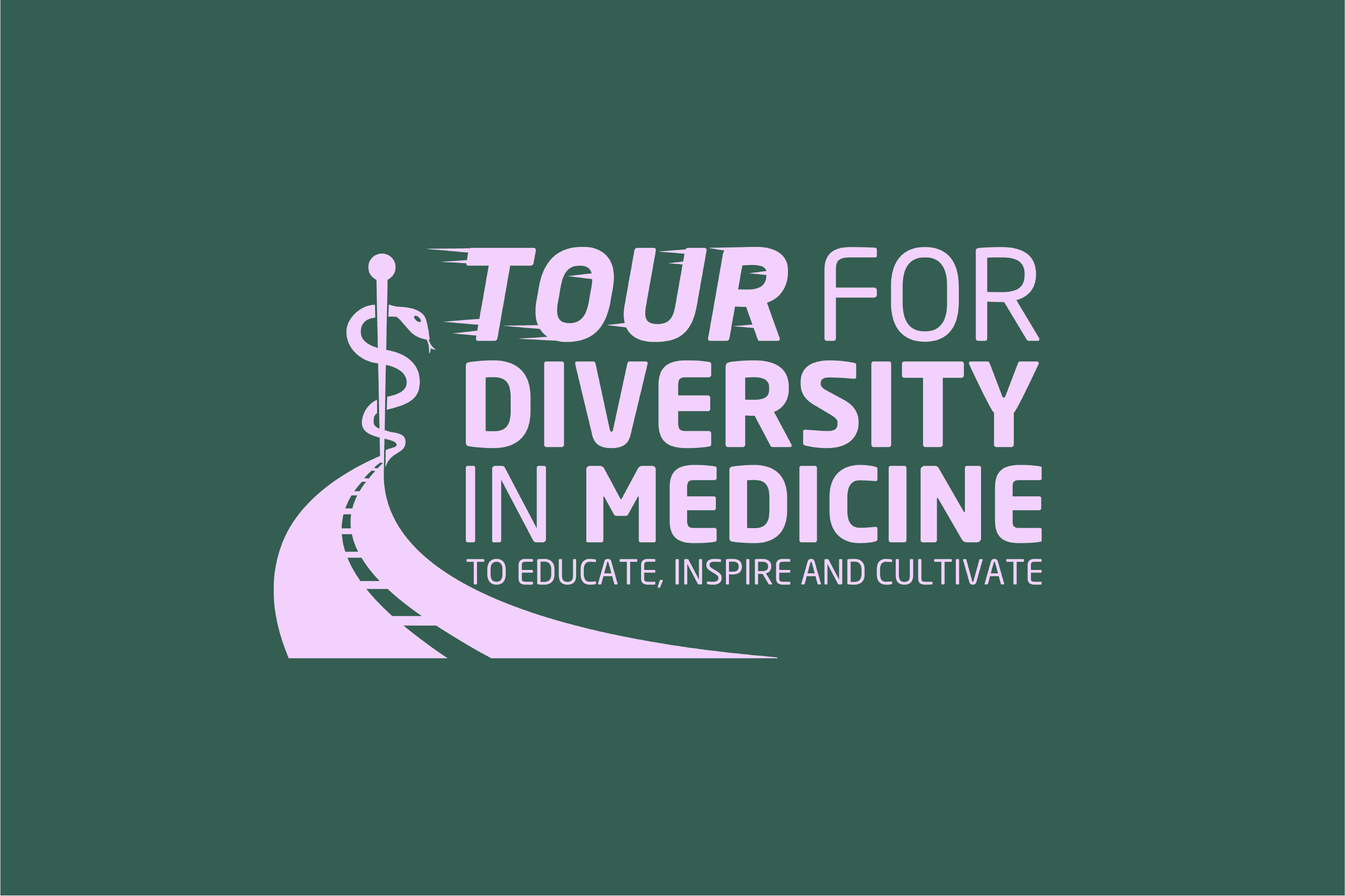 Tour4Diversity logo